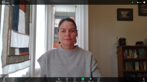 Example of a telehealth video session with Diana
